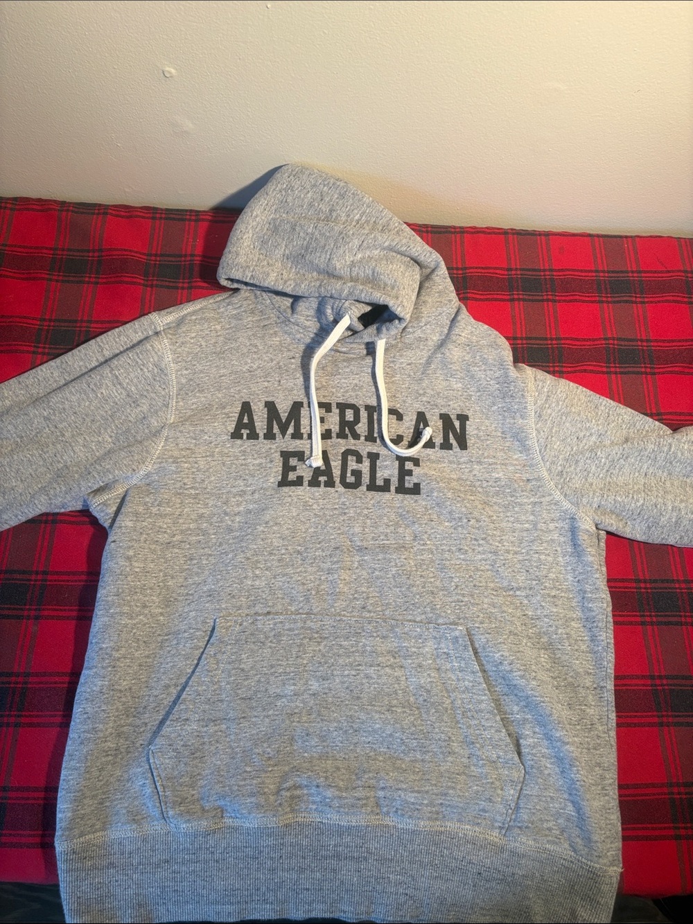 American Eagle Outfitters Light Gray Pullover Hoodie with Logo
